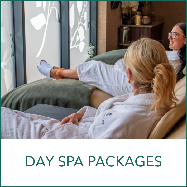 day_spa_.png ( day spa ) day spa